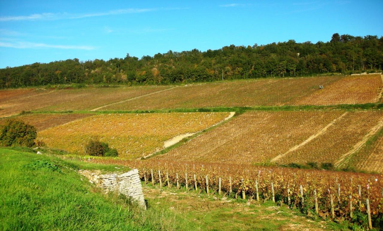 Domaine De La Corgette Bed & Breakfast Saint-Romain  Exterior foto